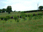 2005_0522BK.jpg
