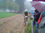 DSC03565.jpg