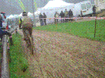 DSC03566.jpg