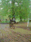 DSC03571.jpg