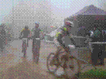 DSC03597.jpg