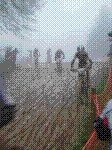 DSC03599.jpg