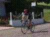 100_3793.JPG