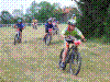 CSC_0130.jpg