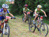 CSC_0134.jpg