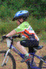 DSC_0125.jpg