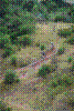 DSC_0141.jpg